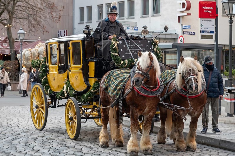 Historic stagecoach with harnessed cold-blooded horses, draught horses, round trips during the Christmas market, Nuremberg, Middle Franconia, Bavaria, Germany