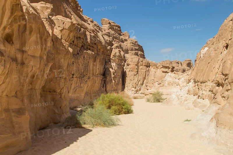 White canyon with yellow rocks, sunny day. Egypt, desert, the Sinai Peninsula, Nuweiba, Dahab