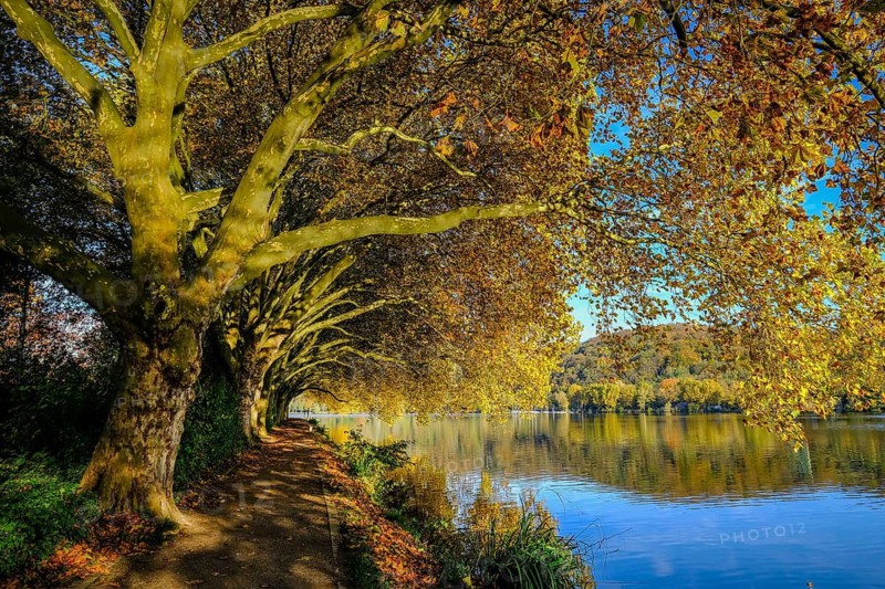 Essen, North Rhine-Westphalia, Germany - Golden autumn on Lake Baldeney