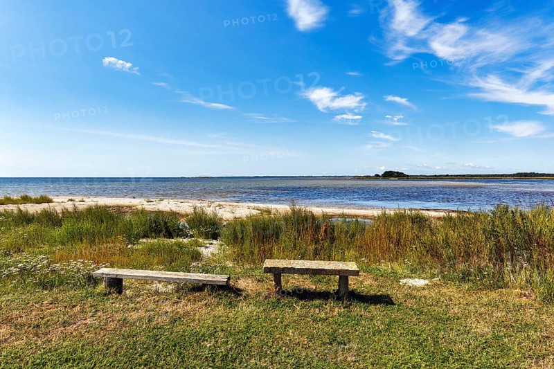 Quiet coastal landscape on the Baltic Sea, simple benches with views of sandy beach, Cirrus in summer, relaxed atmosphere, Kapelludden, east coast, island of Öland, Kalmar län, Sweden
