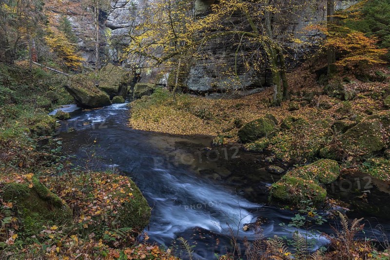 Flowing water with ferns and rocks in the Edmunds Gorge in autumn. River Kamnitz, Hrensko, Ustecky kraj, Czech Republic