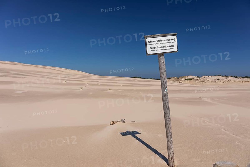 Lacka Dune on a sunny day with a blue sky in the Slowinski National Park, northern Poland on the Baltic Sea coast. 42 metres high and moving at a rate of 3 to 10 metres per year
