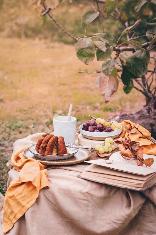 An inviting autumn picnic setup with a moist pumpkin cake, fresh grapes, and a warm drink. A cozy scene for enjoying the fall outdoors with nature's bounty