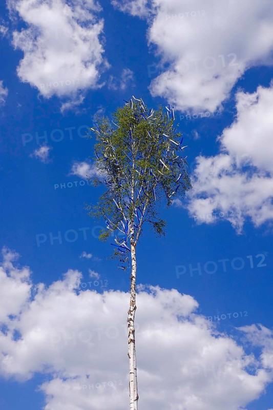 Decorated maypole in front of a cloudy sky, Germany