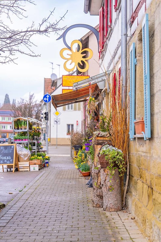 Alley decorated with autumnal flowers and plants. Town architecture and signs visible, Großbottwar, Ludwigsburg district, Baden-Württemberg, Germany