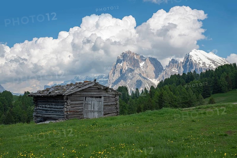 A rustic wooden cabin sits on lush green meadows under a vast blue sky with fluffy clouds. In the background, the majestic peaks of the Dolomites mountains rise sharply