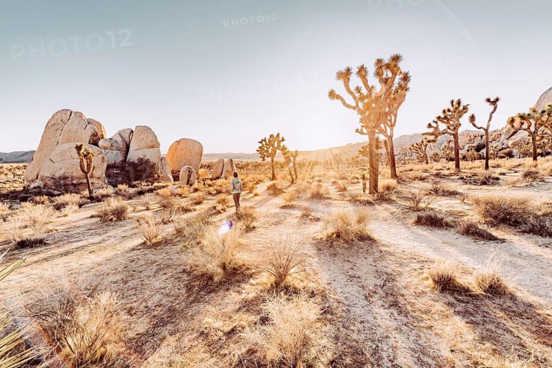 Woman at sunset in Joshua Tree National Park