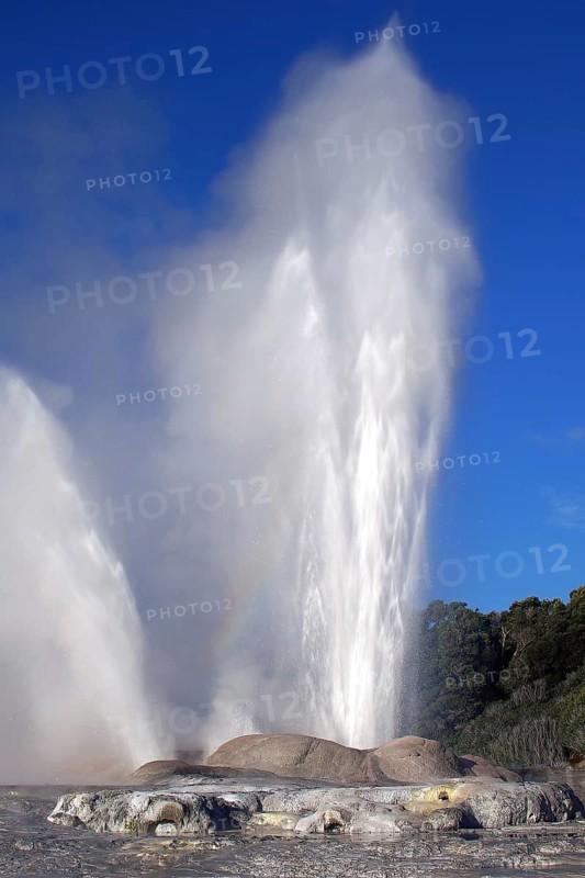New Zealand, North Island, water fountain, Whakarewarewa, Pohutu Geyser, New Zealand