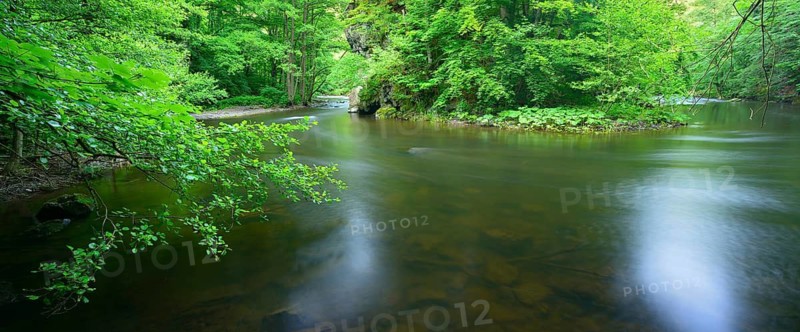 The River Bode in the Bode Valley between Thale and Treseburg, Harz Mountains, Saxony-Anhalt, Germany