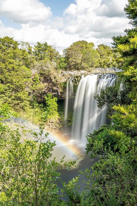 Waterfall of Rainbow Falls with rainbow in dense forest, Kerikeri, New Zealand, Oceania