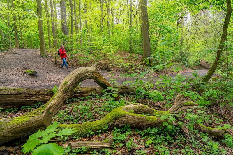 Symbolic image Hiking with smartphone and hiking app, navigation on hiking trails, digital hiking map with navigation, Komoot app, pre-programmed routes, GPS guides you precisely along the planned route, North Rhine-Westphalia, Germany