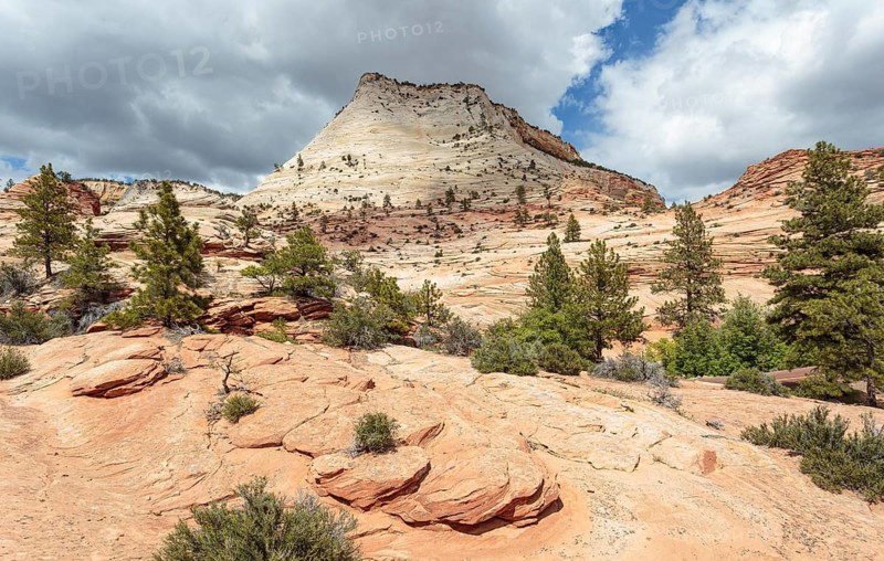 Patterns of erosion on the rock formations in Zion National Park, Utah