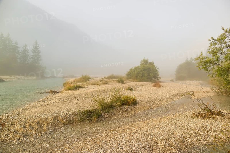 Isar valley nature conservancy area. The wild Isar river flows through its gravel bed past driftwood and entrained trees and bushes . Early morning with dense fog