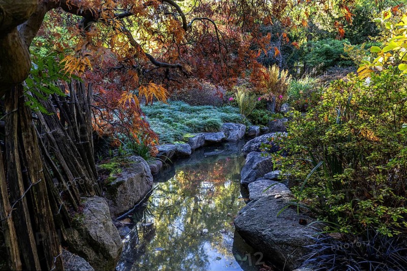 Plants, autumn colours, picket fence, stream, Japanese Garden, Zoological City Garden, Karlsruhe, Baden-Württemberg, Germany
