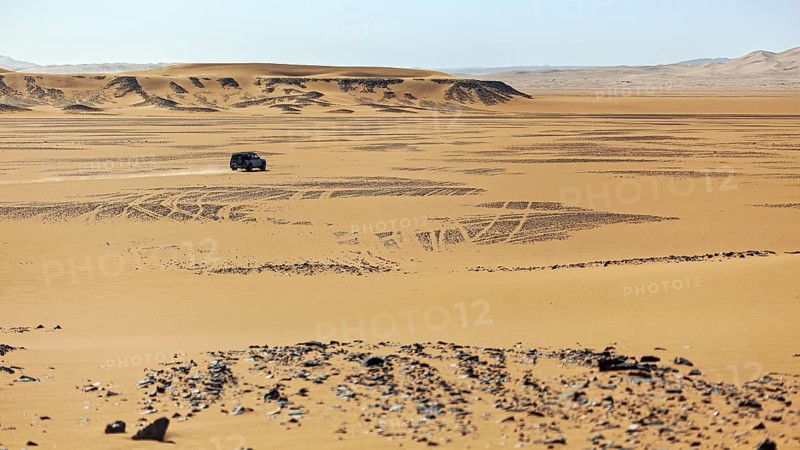 A single vehicle drives through the endless sand dunes of a vast desert, Off-road vehicle through the Sahara desert in Algeria