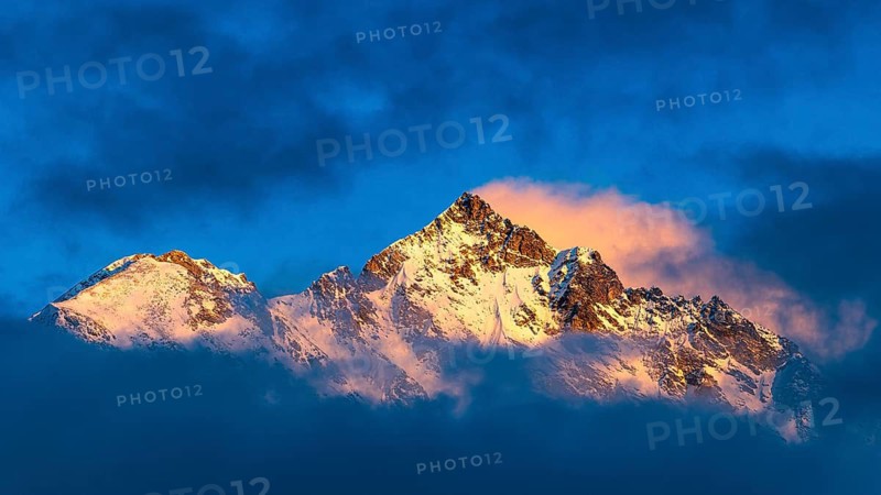 Snow-covered summit of the Weisshorn mountain, illuminated by the evening sun, view from Grimentz, Val d'Anniviers, Valais Alps, Canton Valais, Switzerland