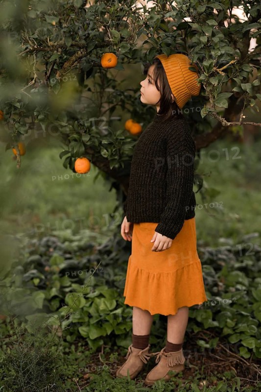 A child dressed in autumn colors stands by an orange tree, exploring the orchard. The warm sunlight highlights the vibrant foliage and rustic setting