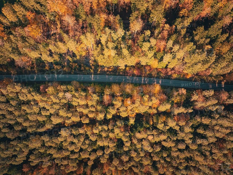 Aerial view of a road surrounded by yellow and orange trees in autumn, Zavelstein, Black Forest, Germany