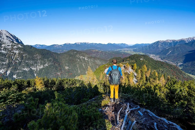 Mountaineer on a hiking trail between mountain pines, autumnal mountain landscape, ascent to the Große Arnspitze, near Scharnitz, Bavaria, Germany