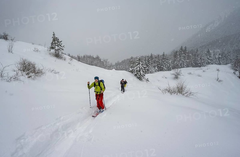 Ski tourer in snowfall in mountain landscape, ascent to Taubenstein, Mangfallgebrige, Bavaria, Germany