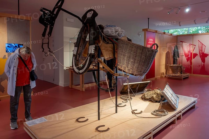 Shrimper's equipment for draught horse with dragnet in the NAVIGO Visserijmuseum, fishery museum at Oostduinkerke, Koksijde, West Flanders, Belgium