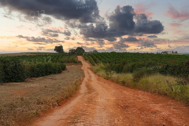 Red soil road, Serra da Canastra landscape, Minas Gerais state, Brazil