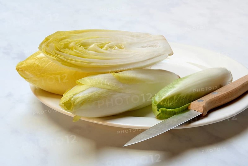 Chicory, chicory salad on plate with knife