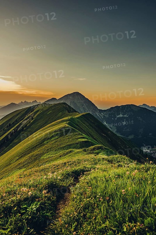 Hiking tour on the Hönig mountain in the Lechtal valley near Berwang in Tyrol, Austria
