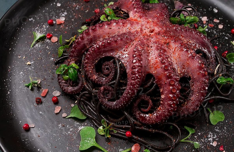 Octopus with black spaghetti, pasta, spices and herbs, top view, no people