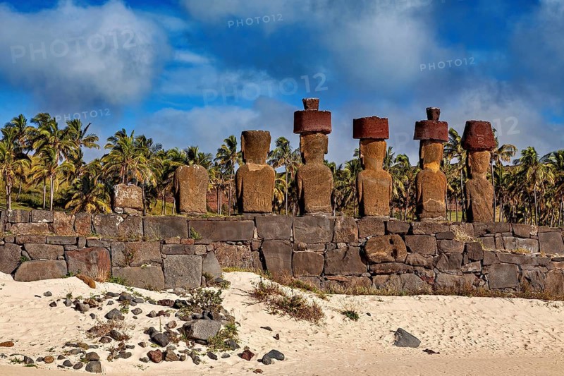 Moai statues on stone wall with a background of palm trees and beach, The Moai statues on Easter Island in the Pacific Ocean