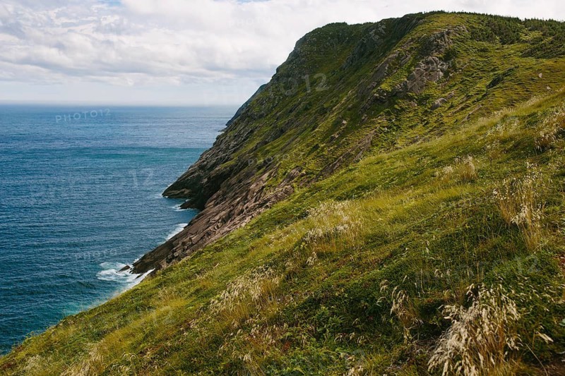 Panoramic view of the rugged coastal cliffs in Middle Cove, Newfoundland & Labrador, Canada, highlighting the lush greenery and the vast ocean below