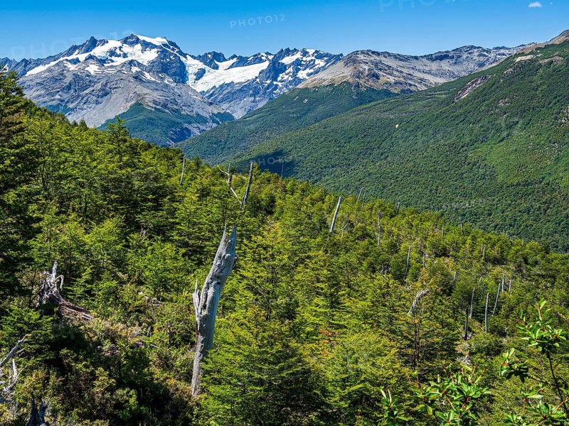 View towards glacier Mosco, seen from hiking path above village Villa O' Higgins, Patagonia, Chile