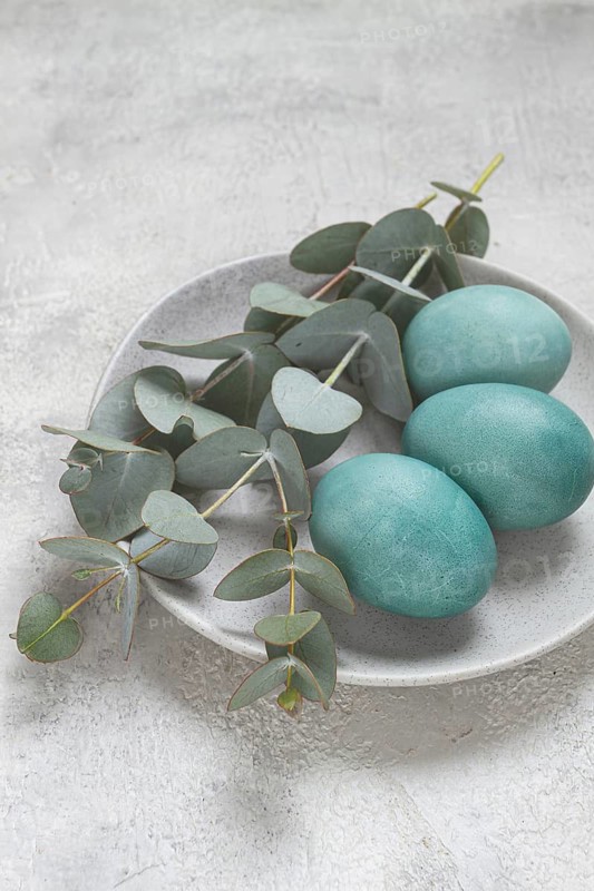 Easter colored eggs, in turquoise tones, on a gray plate, with a branch of eucalyptus, Easter card, top view, no people