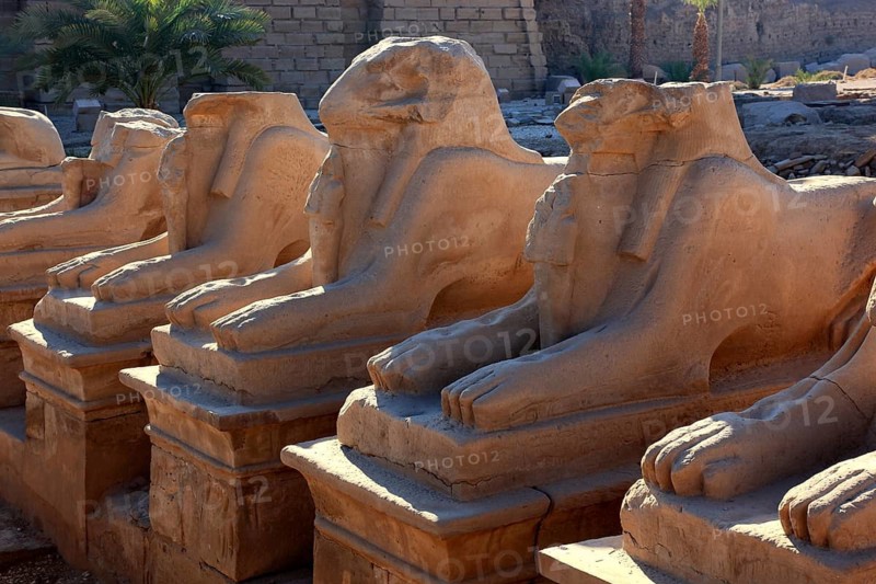 Luxor, part of the Avenue of the Ram, Karnak Temple, Africa, Upper Egypt, UNESCO World Heritage Site