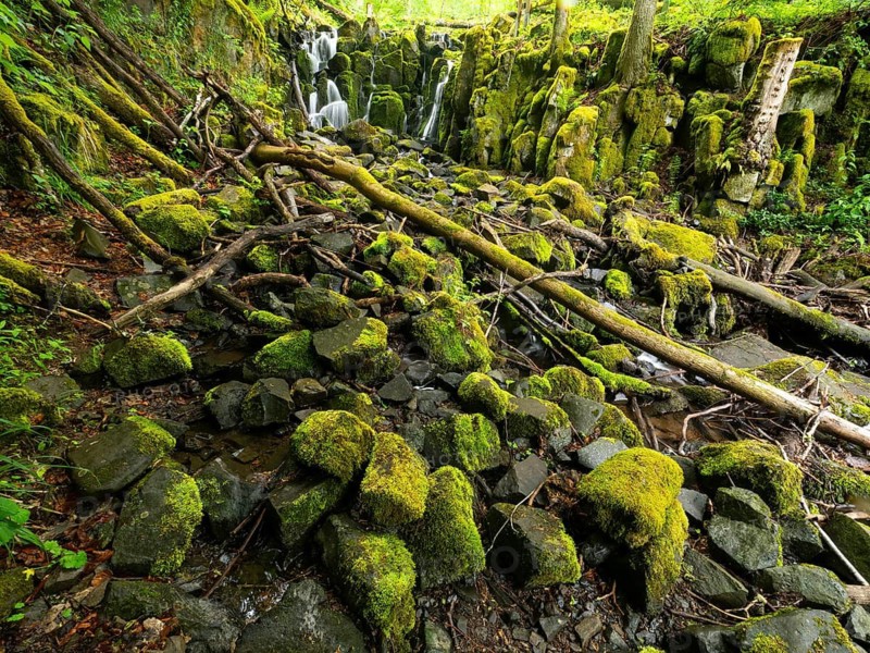 Teufelsmühle waterfall on the hill stream the Schwartzbach, surrounded by summer vegetation, in the Rhön UNESCO Biosphere nature reserve, county Bavaria, Germany