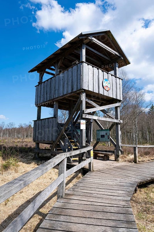 Boardwalk and observation tower in the Mecklenbruch raised bog, nature reserve, Solling-Vogler nature park Park, Lower Saxony, Germany