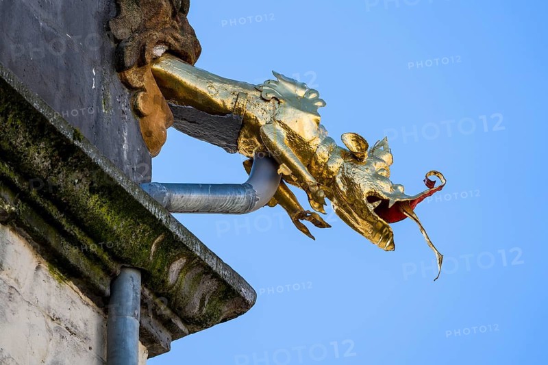 Dragon-headed gargoyle of the town hall, Hannoversch Münden, Lower Saxony, Germany