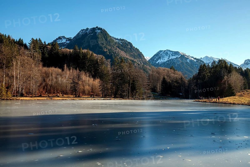 Moor, moor pond, icy, winter, behind Allgäu Alps, Oberstdorf, Oberallgäu, Allgäu, Bavaria, Germany
