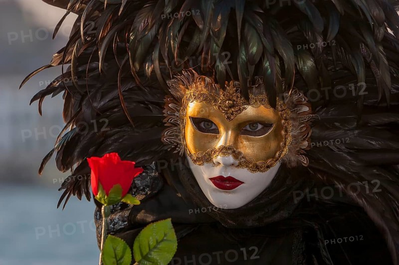 Mask at the Carnival, Venice, Veneto, Italy