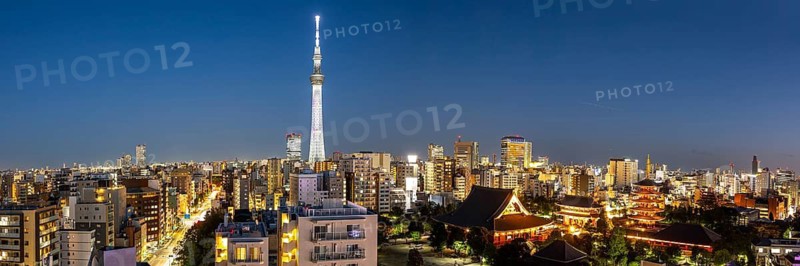 Tokyo SkyTree tower with the skyline skyscrapers panorama at night in Tokyo, Japan