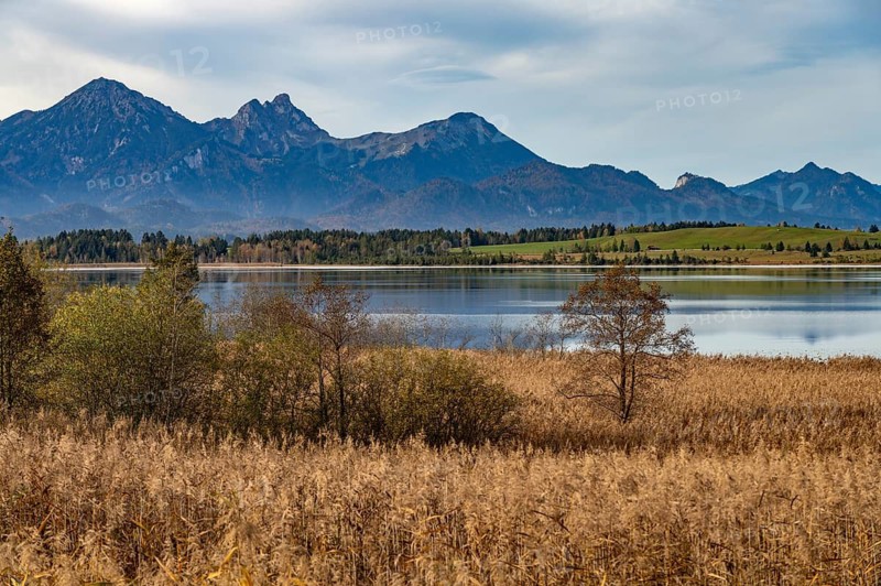 The Bannwaldsee near Schwangau, Allgäu, Bavaria, Germany