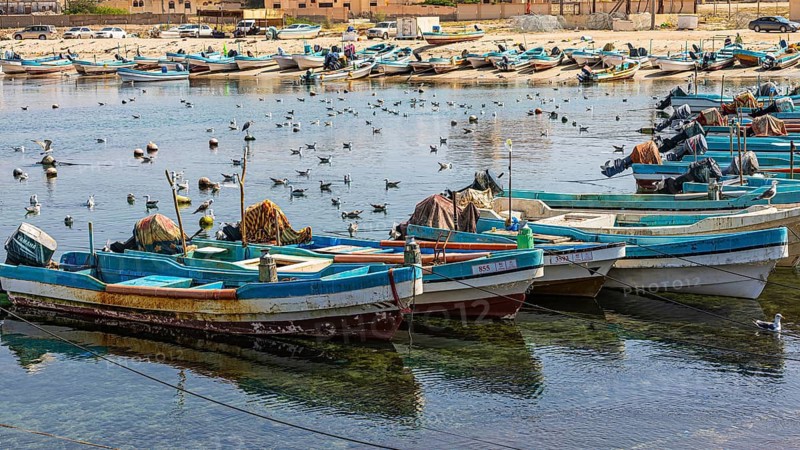 Fishing boats anchored in the harbour of Mirbat, Dhofar Province, Arabian Peninsula, Sultanate of Oman