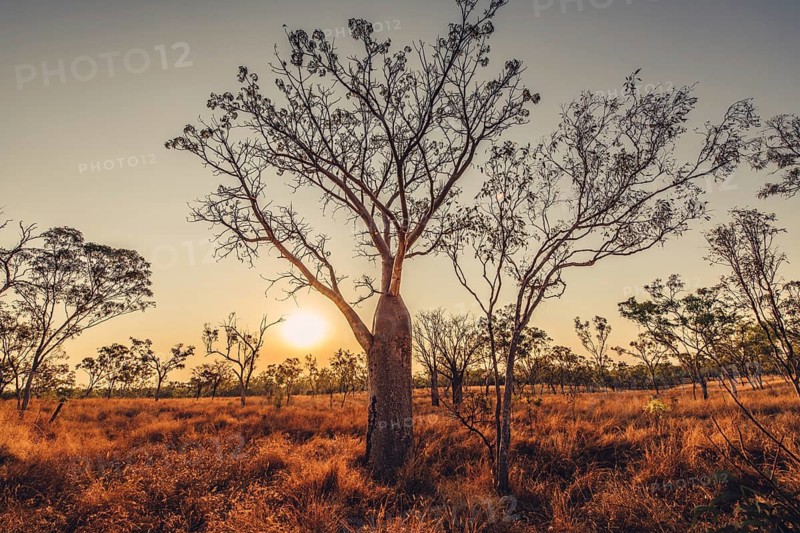 Outback Scenes Australia