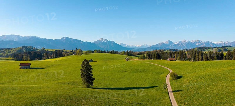 Landscape with rolling hills, a path and huts in front of a mountain backdrop under a clear sky, Alps, near Füssen, Ostallgäu, Allgäu, Bavaria, Germany