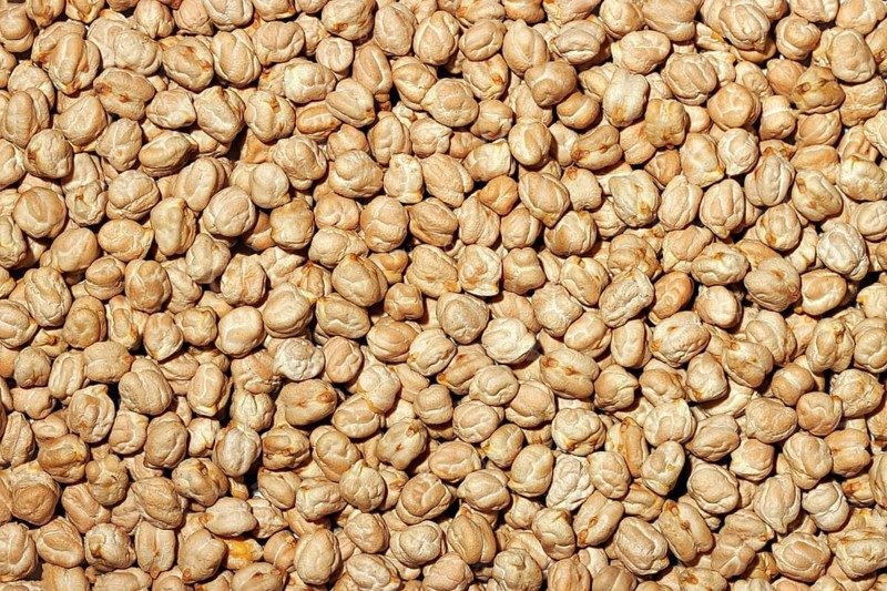 Top view of a full frame of fresh raw chickpeas offering a natural texture and pattern, ideal for food backgrounds