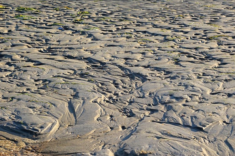 Morning atmosphere on the beach of the Baltic Sea, September, Usedom, Mecklenburg-Western Pomerania, Germany