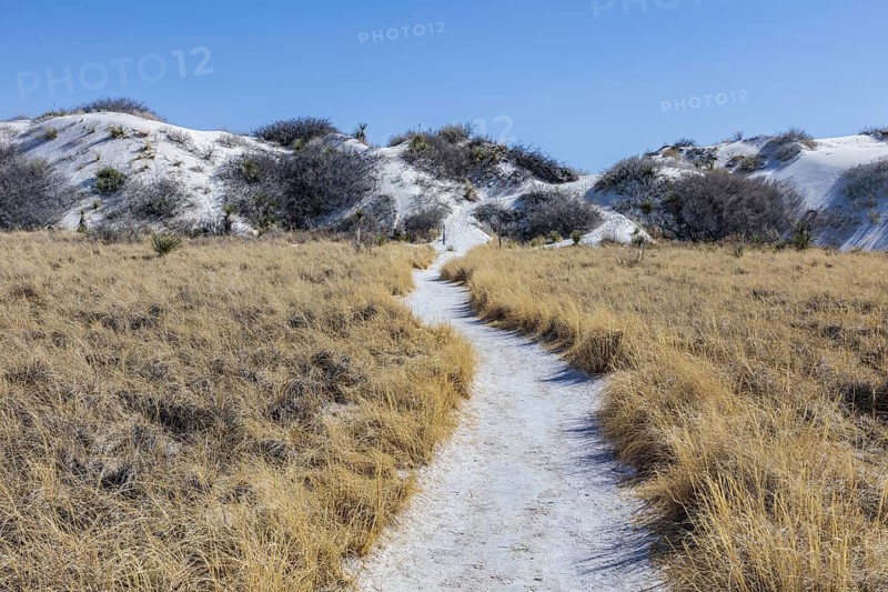 Gypsum dunefields at White Sands National Monument located within the Chihuahuan Desert and the Tularosa Basin near Alamorodo, New Mexico, USA