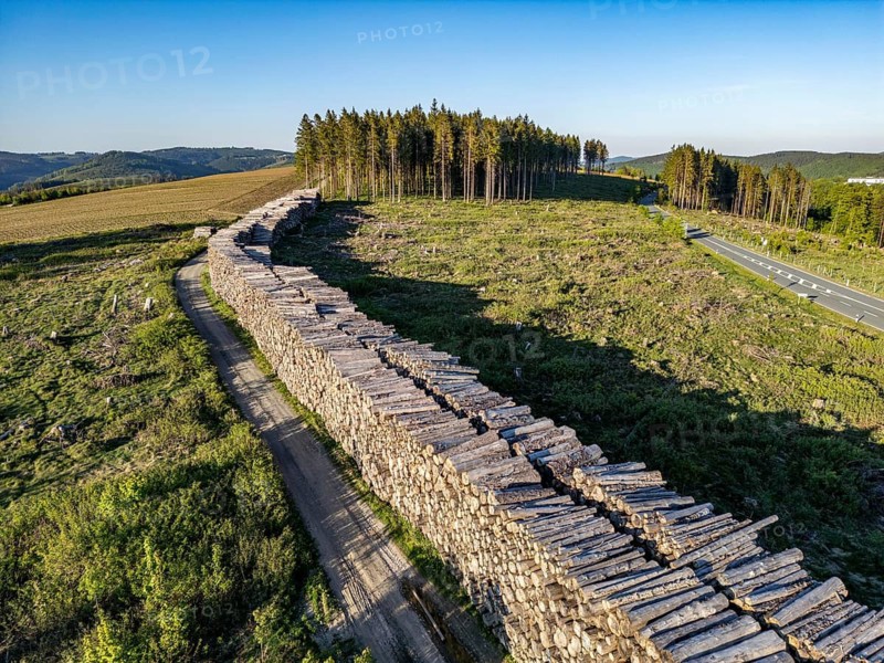 Pile of wood in a partially cleared forest area, felled spruces, with damage caused by the bark beetle, west of Langewiese, district of Winterberg in the Hochsauerlandkreis, North Rhine-Westphalia, Germany