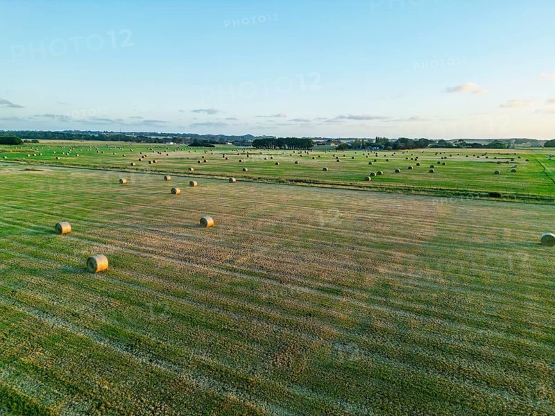 Serene aerial view of numerous hay bales scattered across a vast, lush green field under a clear blue sky in Victoria, Australia. The landscape is peaceful and expansive, showcasing rural life