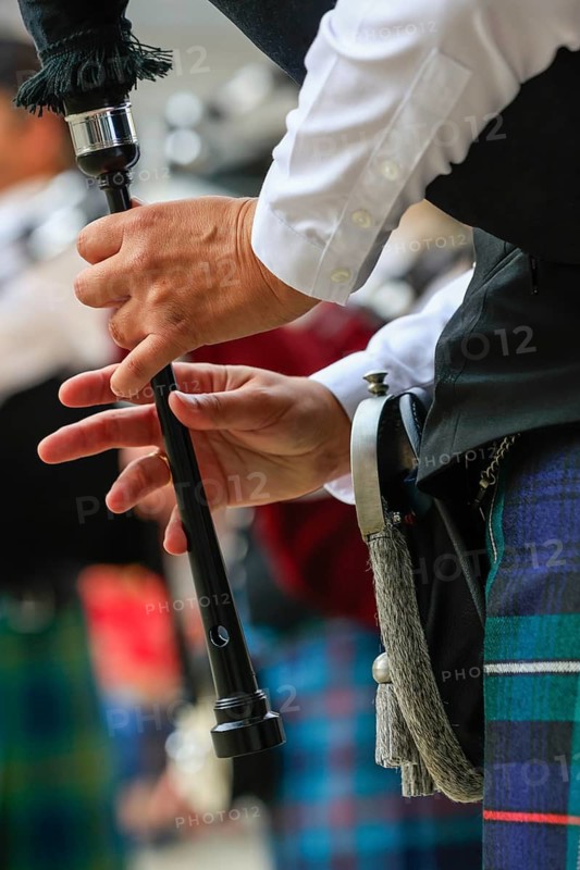 Fingers of a bagpipe player on the instrument, bagpipe orchestra, pipe concert, Sigmaringen, Baden-Württemberg, Germany